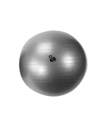 Bola de fitness ø 75 cm. 1450 gr. sem insuflador