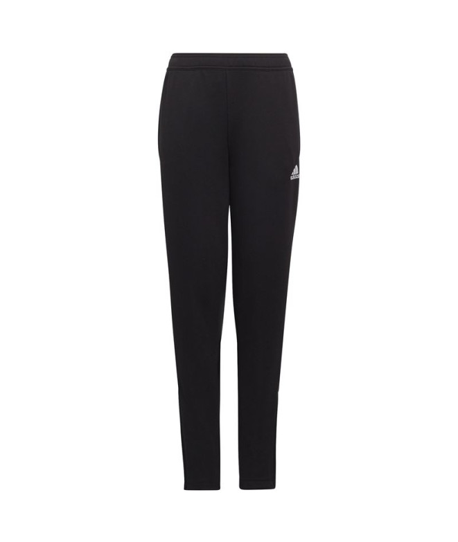 Calças de futebol adidas Ent22 Tr Y Calças de...