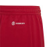 Calções de futebol adidas Ent22 Kids