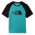 T-shirt The North Face Raglan Easy M Verde