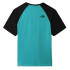 T-shirt The North Face Raglan Easy M Verde