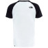 T-shirt The North Face Raglan Easy M Branco