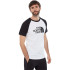 T-shirt The North Face Raglan Easy M Branco