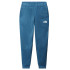 Calça por fitness The North Face Mountain Athletics M Azul