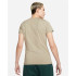 Camiseta Nike Castanho do Liverpool FC
