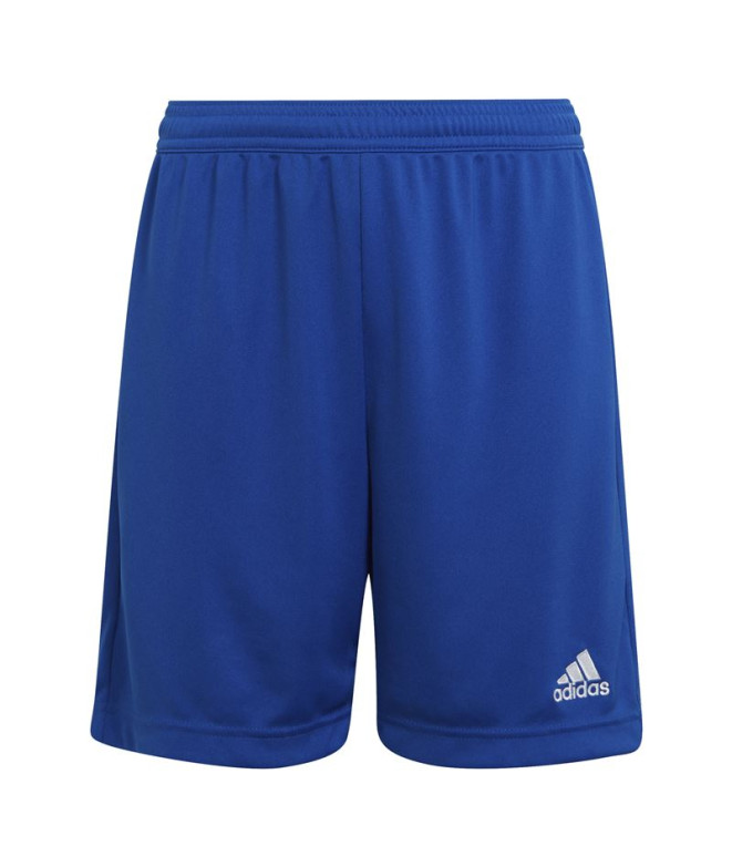 Calças de futebol adidas Ent22 & Calças de...
