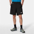 Calça The North Face Homem Hydrenaline 2000 Preto