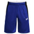 Calções Under Armour Baseline Homens Azul