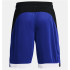 Calções Under Armour Baseline Homens Azul