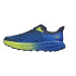 Sapatilhas Trail HOKA HOKA de Speedgoat 5 Azul/Verde Homem