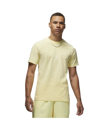 Camiseta Nike Homem Jordan Essentials Flight 23 YW