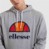 Moletom Ellesse Dahryl OH Hoody Homem Cinzento