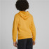 Camisola com capuz Puma Essentials+ Kids