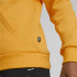 Camisola com capuz Puma Essentials+ Kids