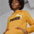 Camisola com capuz Puma Essentials+ Kids
