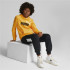 Camisola com capuz Puma Essentials+ Kids