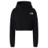Moletom de Montanha The North Face Logotipo Preto Mulher