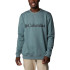 Columbia™ Logo Fleece Crew Mountain Sweatshirt Verde para homem