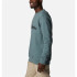 Columbia™ Logo Fleece Crew Mountain Sweatshirt Verde para homem