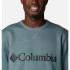 Columbia™ Logo Fleece Crew Mountain Sweatshirt Verde para homem