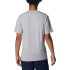 Camiseta Columbia CSC Basic Logo™ Cinzento Homem