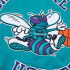 Casaco Mitchell & Ness Charlotte Hornets Azul Homem