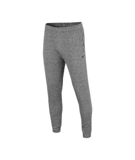 Calças de trenching 4F Functional grey Homens