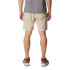 Calça columbia Silver Ridge™ Utility Cargo Castanho Homem