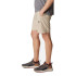 Calça columbia Silver Ridge™ Utility Cargo Castanho Homem