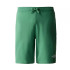 Calça calções The North Face Graphic Light Deep Grass Homem