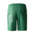 Calça calções The North Face Graphic Light Deep Grass Homem