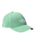 Chapéu de montanha The North Face Recycled 66 Classic Green