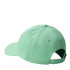 Chapéu de montanha The North Face Recycled 66 Classic Green