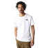 T-Shirt de montanha The North Face Redbox Celebration T-Shirt de montanha branca para homem