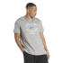 Camiseta Reebok Homem GS Não Spectator Sport SS Cinzento