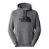 Camisola de montanha The North Face Drew Peak Cinzento Homens