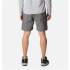 Calça de Trail Columbia Silver Ridge™ Utility Cargo Grey Homem