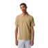 Polo Lacoste Fit L.12.12 Castanho Homem