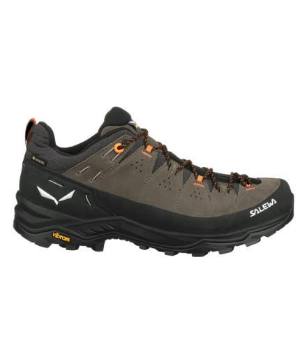 Sapatilhas Montanha from Salewa ALP Trainer 2 Gore-Tex...
