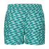 Fato de banho Calções de banho Puma Swim Formsrtip Shorts 1P Homem printed