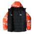 Casaco The North Face Print RV Perrito Boy Cinzento