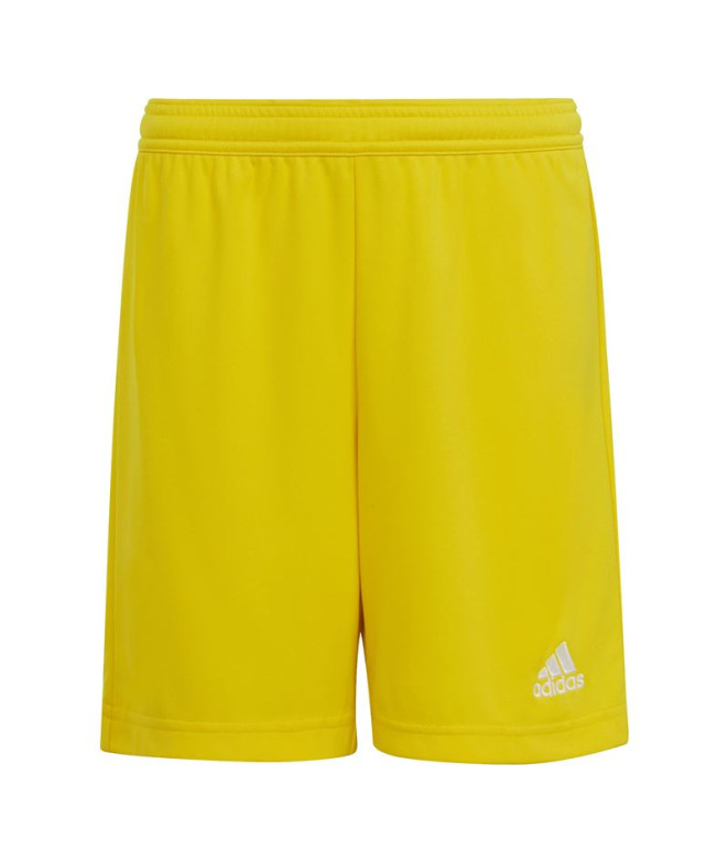 Calças de futebol adidas Ent22 & Calças de...
