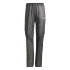Calça Montanha adidas de Xpr Lt Rain P Mulher