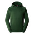 Camisola de montanha The North Face Raglan Redbox Hoodie Verde Homem