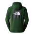 Camisola de montanha The North Face Raglan Redbox Hoodie Verde Homem