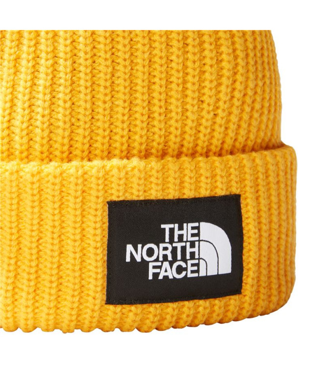 Chapéu de montanha The North Face Salty Dog...