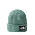 Chapéu de montanha The North Face Salty Dog Lined Green