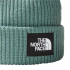 Chapéu de montanha The North Face Salty Dog Lined Green