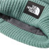 Chapéu de montanha The North Face Salty Dog Lined Green