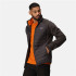 Casaco de montanha Regatta Clumber IV Hybrid Ash(OranPep) Man